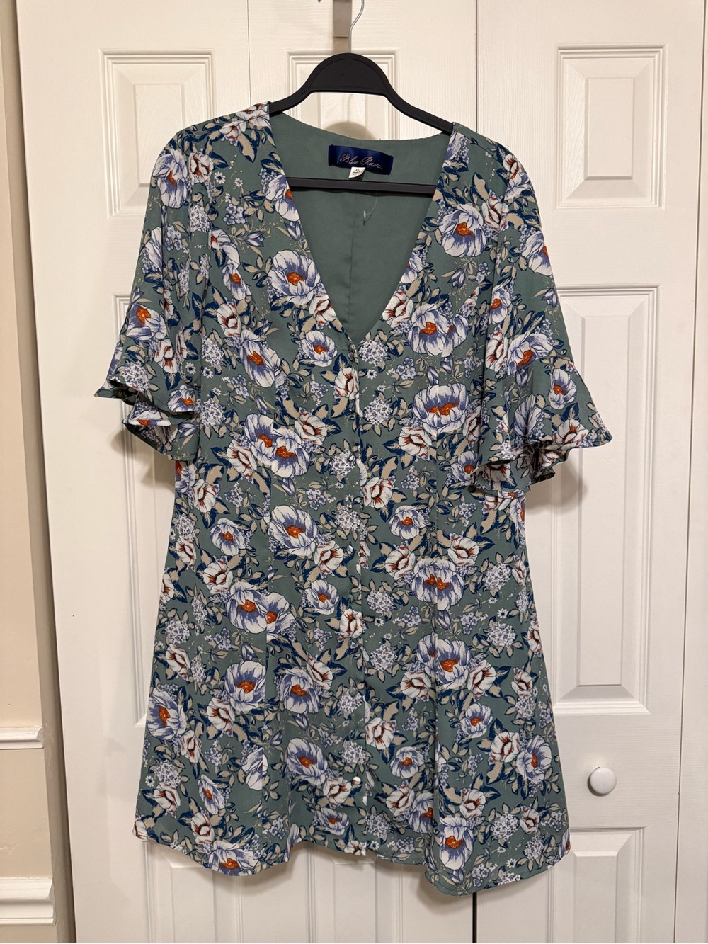 Floral V-Neck Dress with Flutter Sleeves